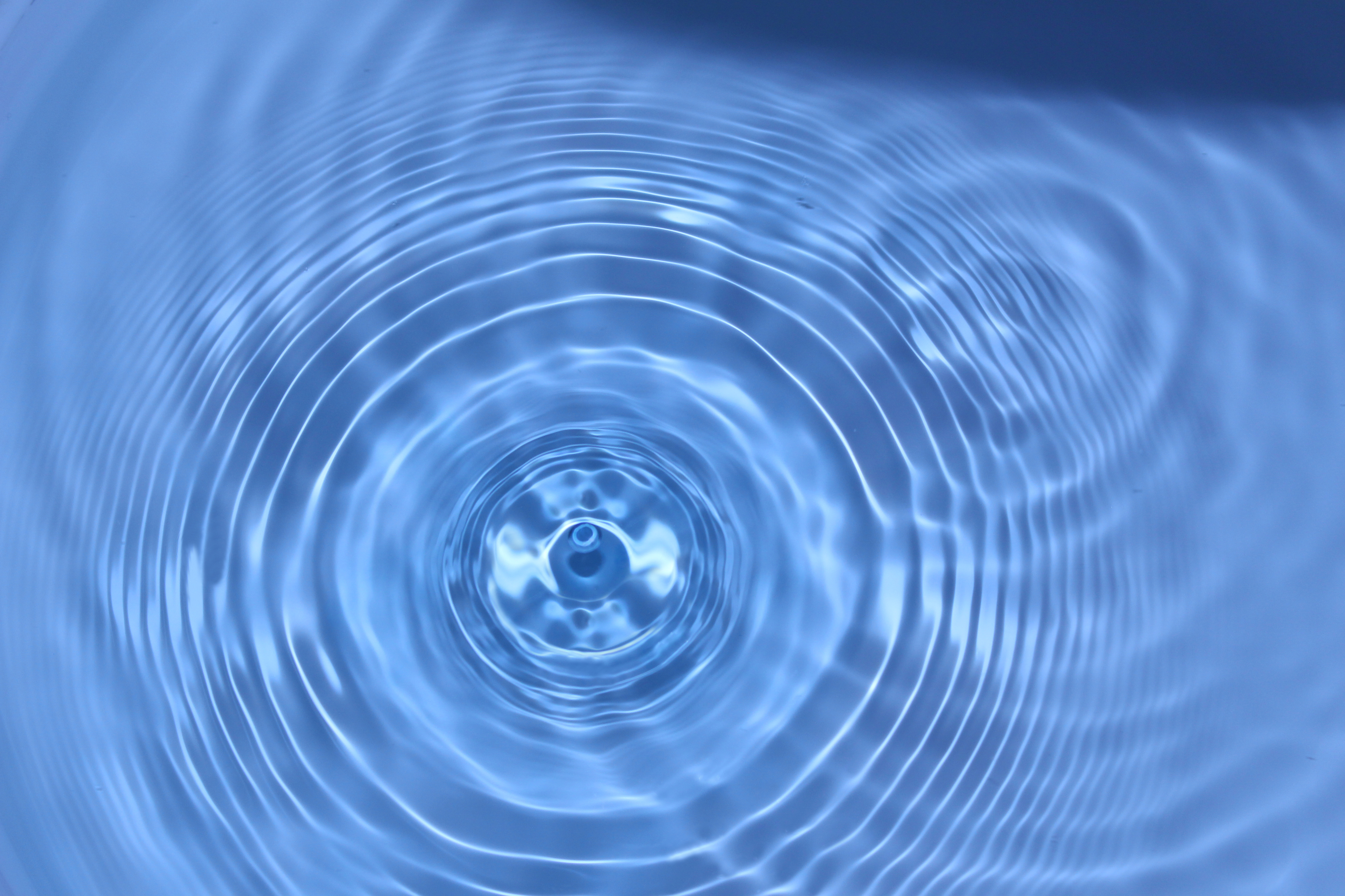 Impax AM - FY Results - Investor Presentation video - December 2020